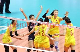 中国女排胜美国队时间（中国女排胜美国了吗）