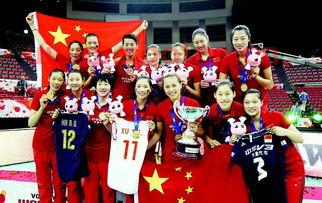 2015中国女排队员简历（2015中国女排队员简历照片）