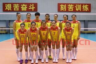 中国女排队员坐阵（中国女排队员序号）
