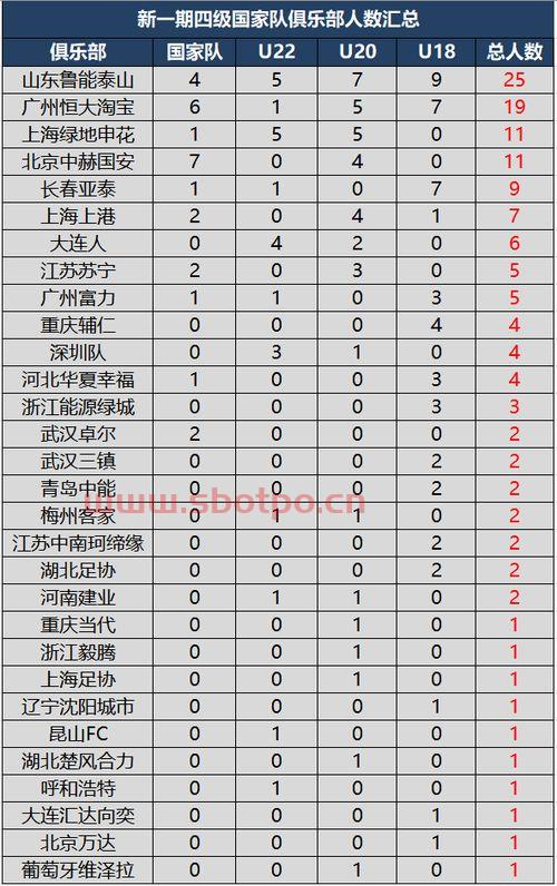 足球队队名大全中国国家队（足球队队名大全中国国家队队员）