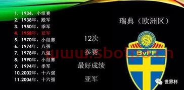 俄罗斯世界杯亚洲战绩排名（俄罗斯世界杯成绩排名）