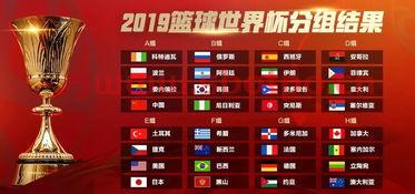 中国对韩国篮球世界杯分组