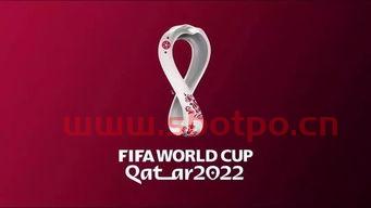 卡塔尔2022年世界杯作文