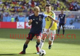 本田圭佑和香川真司