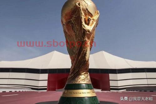 2022卡塔尔世界杯亚洲有几支球队