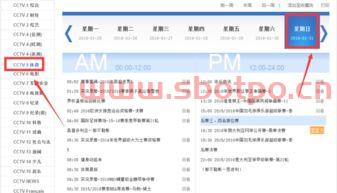 ***5十节目表