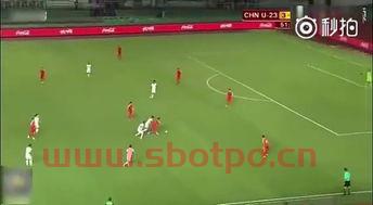 中国世界杯足球球迷人数有多少