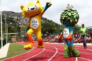 2014年奥运会