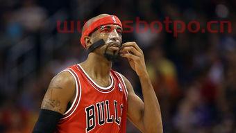 汉密尔顿nba