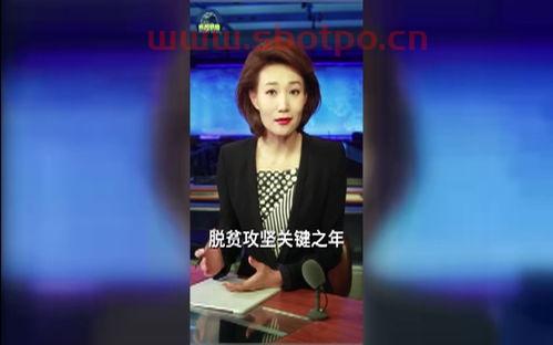 浙江卫视高清直播
