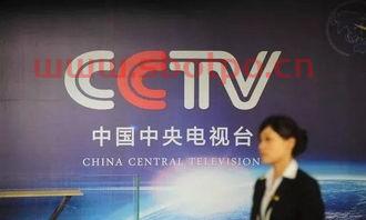 中央电视台5台直播
