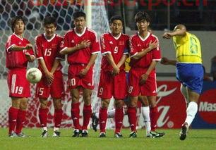 2002年中国进了世界杯