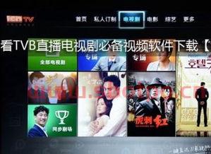 tvb在线直播