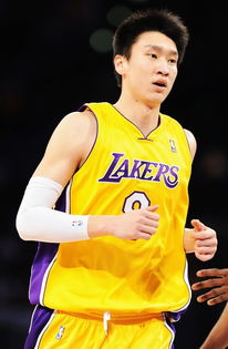 孙悦nba