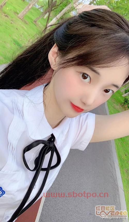 有女芙蓉初长成
